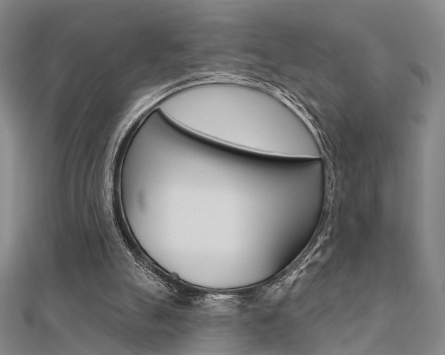 X0000112160055200908070947