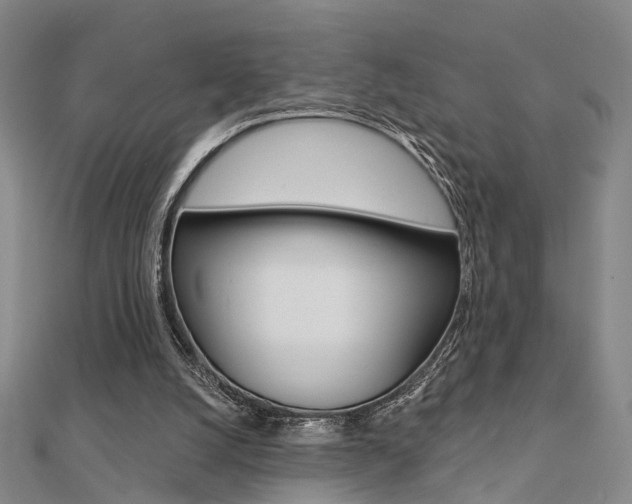 X0000112160056200908070947