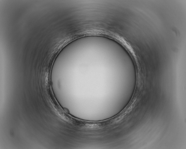 X0000112160057200908070947