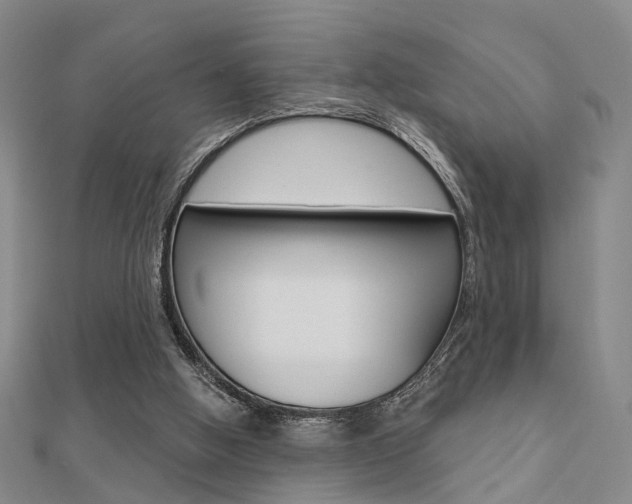 X0000112160058200908070947