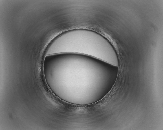 X0000112160060200908070947