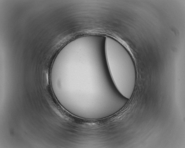 X0000112160061200908070947