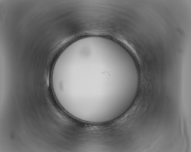 X0000112160062200908070947