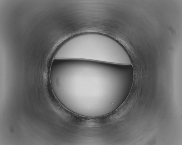 X0000112160064200908070947