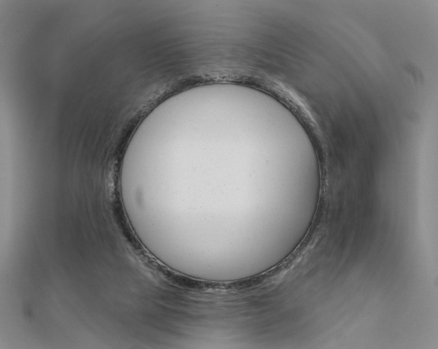 X0000112160065200908070947