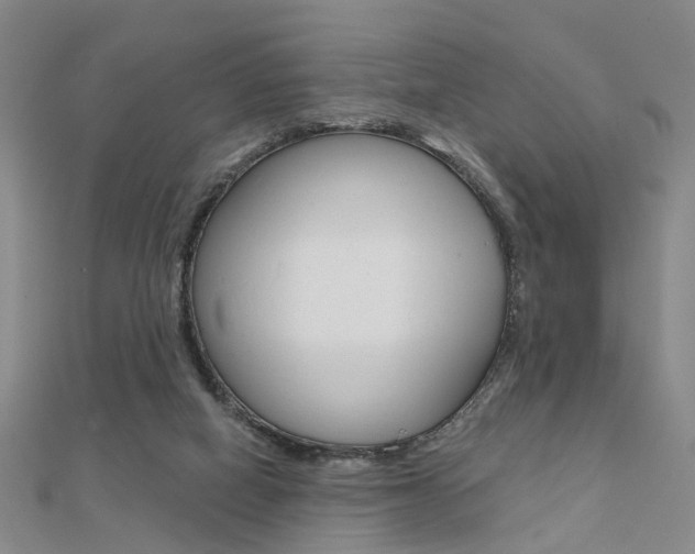 X0000112160066200908070947