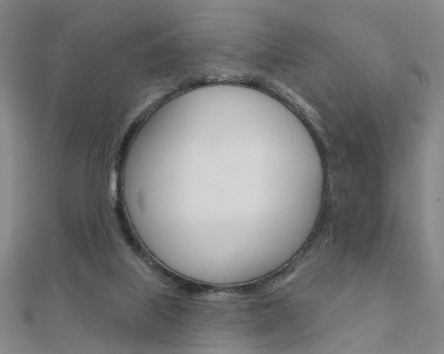 X0000112160067200908070947