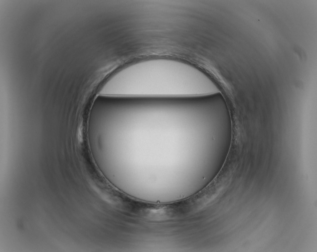 X0000112160068200908070947