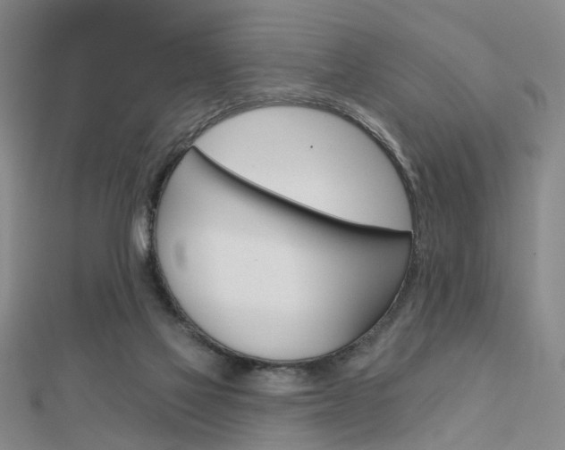 X0000112160069200908070947