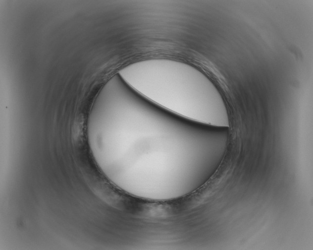 X0000112160073200908070947