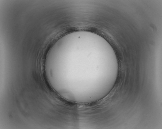 X0000112160074200908070947