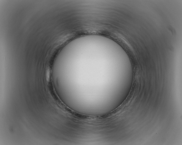 X0000112160076200908070947