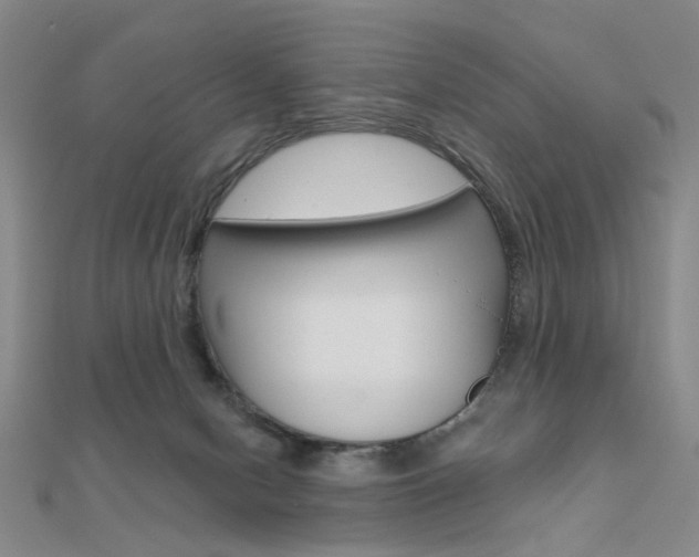 X0000112160078200908070947