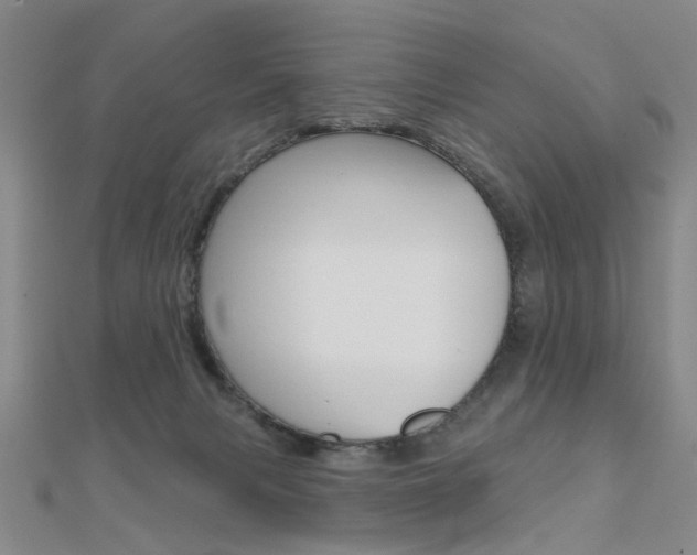 X0000112160079200908070947