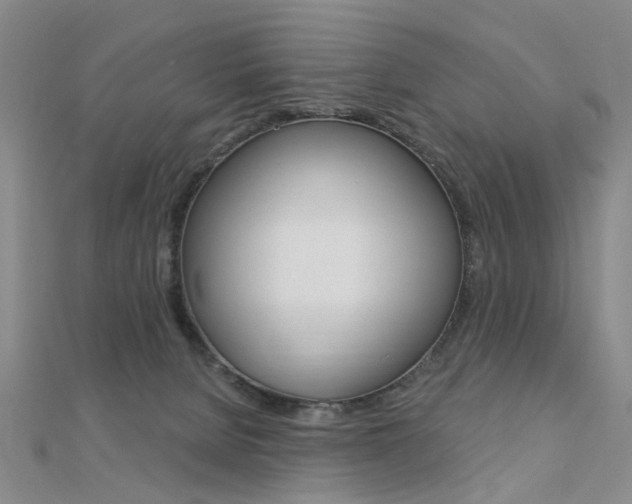 X0000112160080200908070947