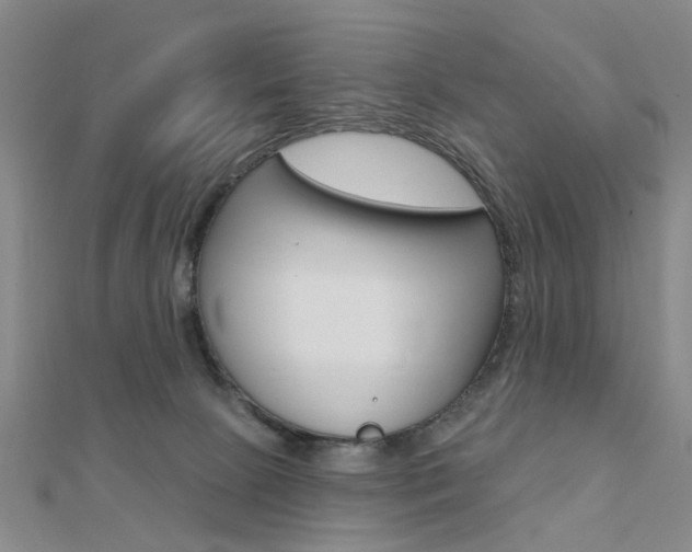 X0000112160081200908070947
