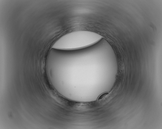 X0000112160082200908070947