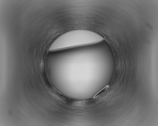 X0000112160084200908070947