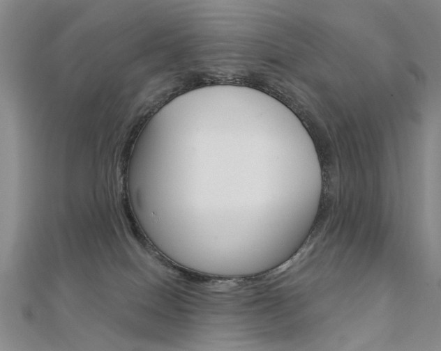 X0000112160086200908070948