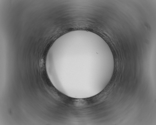 X0000112160087200908070948
