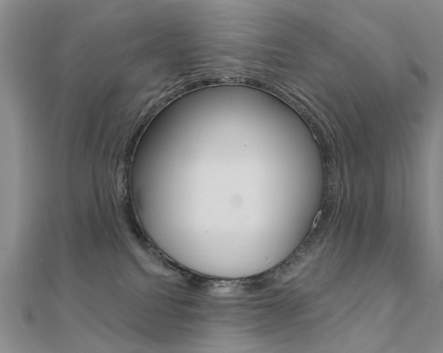 X0000112160088200908070948