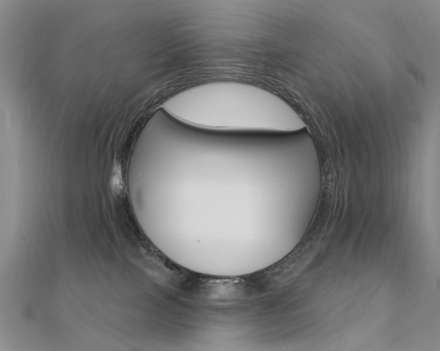 X0000112160089200908070948
