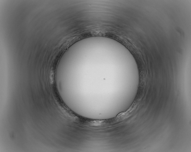X0000112160090200908070948