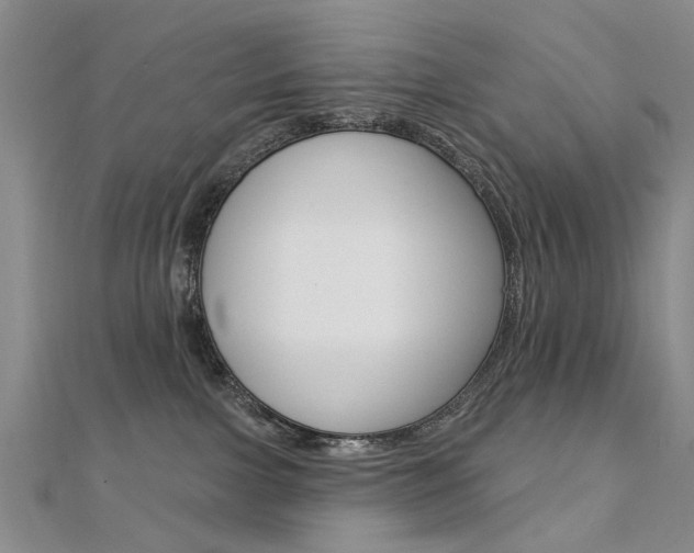 X0000112160091200908070948