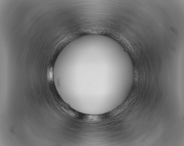 X0000112160095200908070948