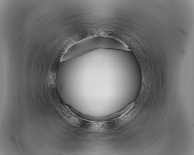 X0000112160096200908070948