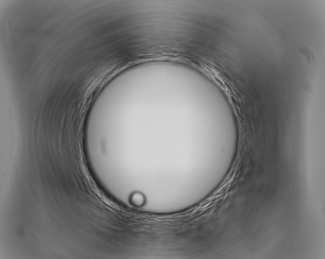X0000112160097200908070947