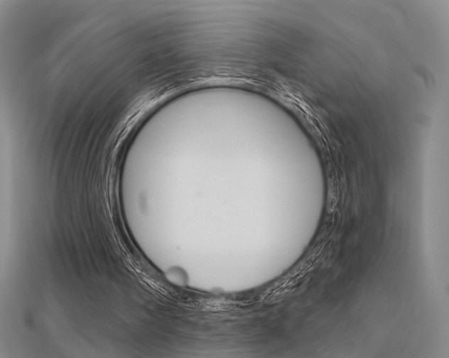 X0000112160098200908070947