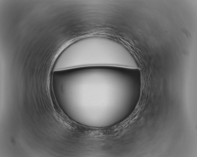 X0000112160100200908070947
