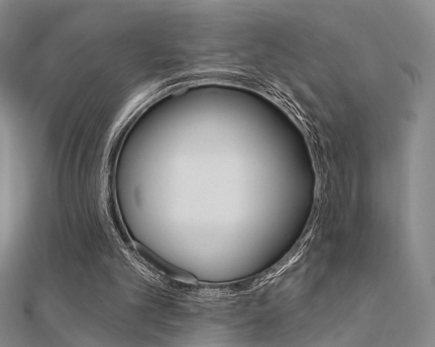 X0000112160101200908070947