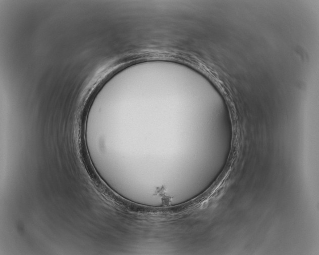 X0000112160103200908070947