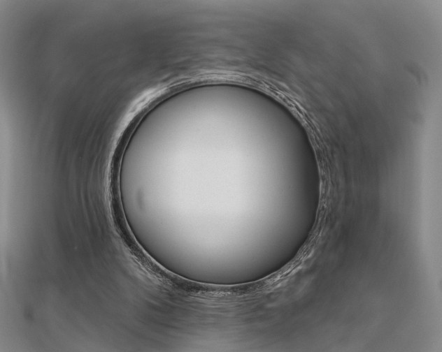 X0000112160104200908070947