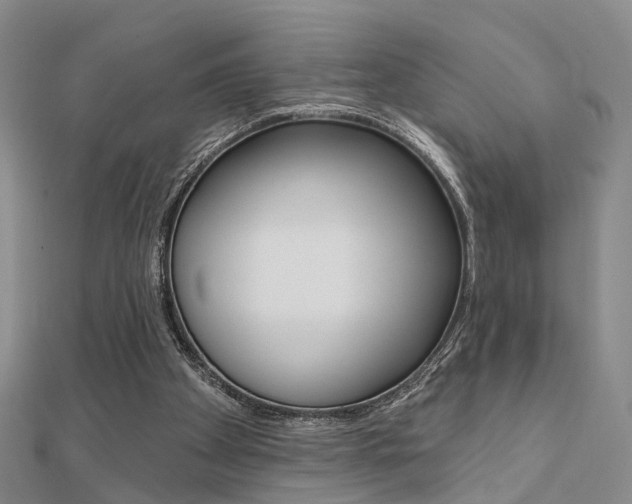 X0000112160105200908070947