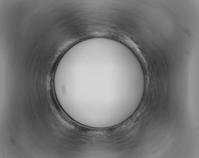 X0000112160106200908070947
