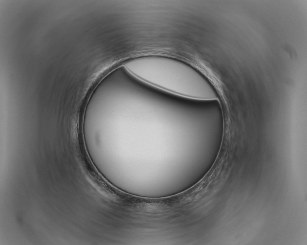 X0000112160107200908070947