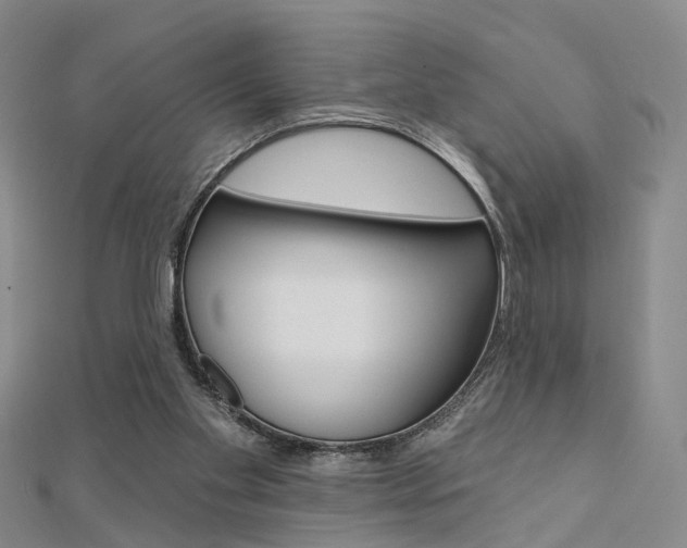 X0000112160109200908070947