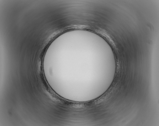 X0000112160110200908070947