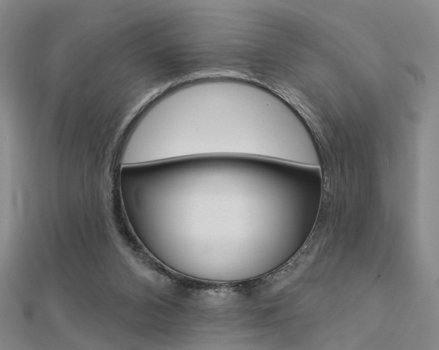 X0000112160112200908070947