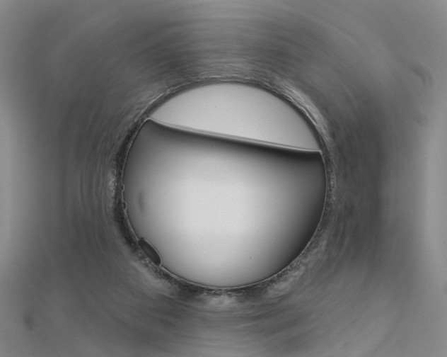 X0000112160113200908070947