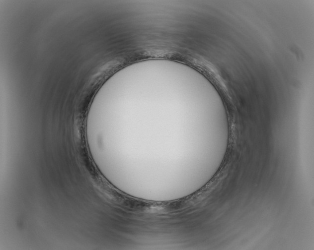 X0000112160114200908070947