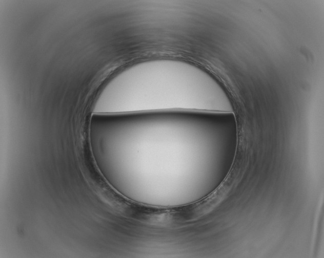 X0000112160116200908070947