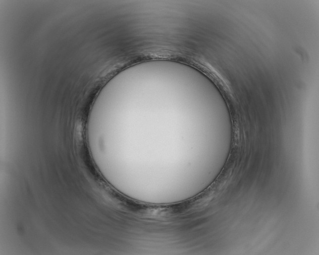 X0000112160117200908070947