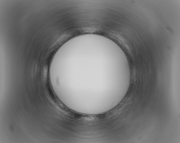 X0000112160118200908070947