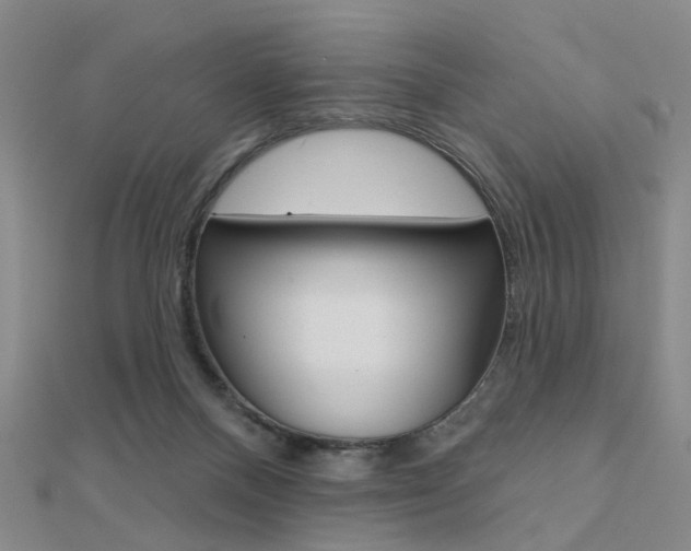 X0000112160120200908070947