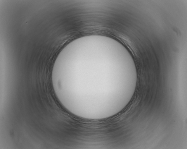 X0000112160121200908070947