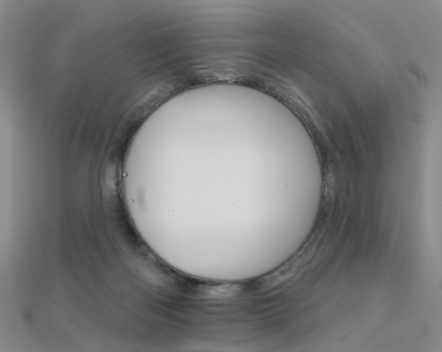 X0000112160122200908070946